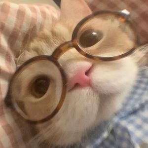 Meet your Posher, Abeer